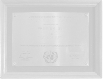 Награда ООН 